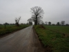 mvilleridge1