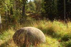 Finland 2009