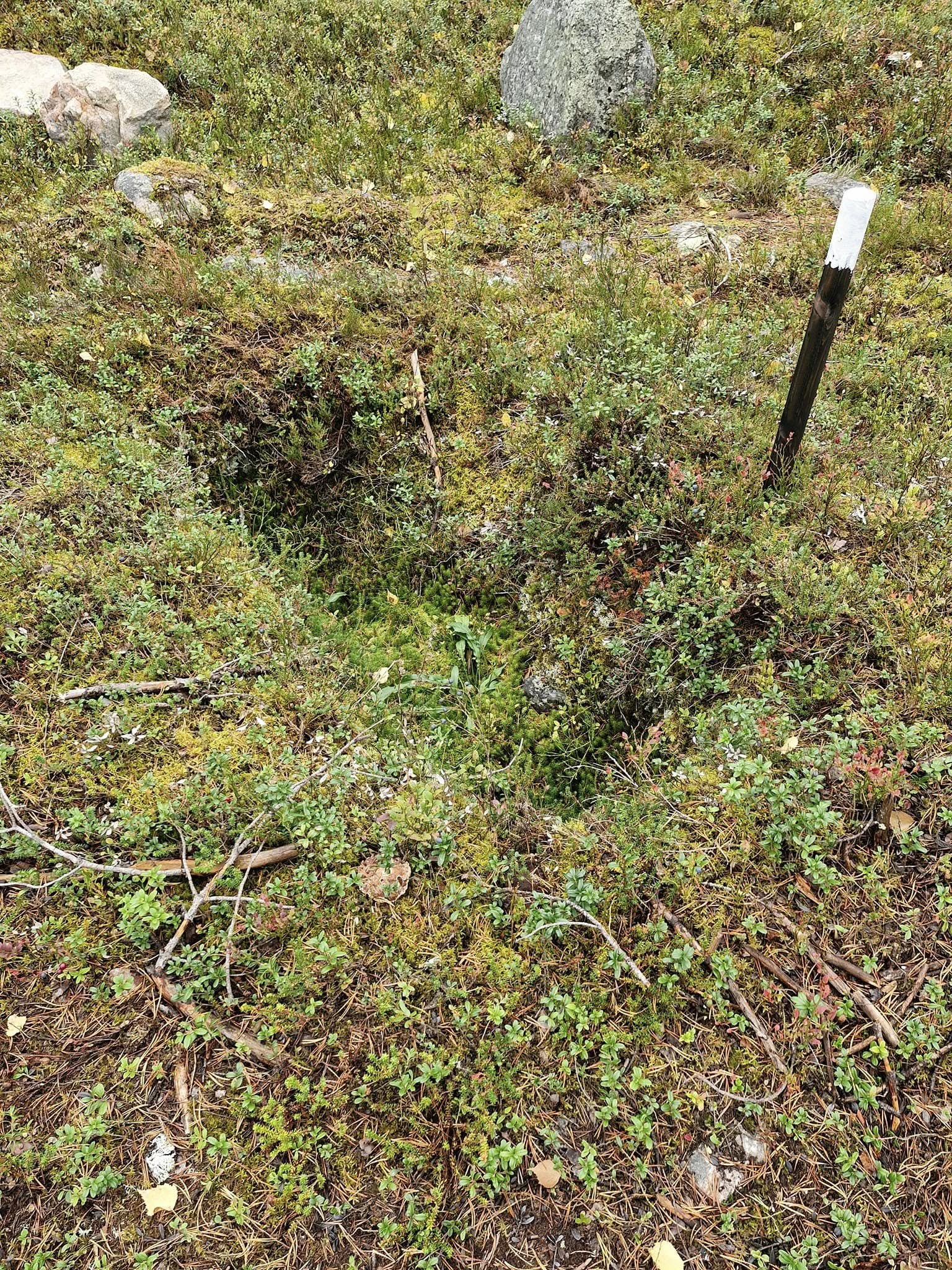 459618116_1070042875124608_7258453228934339107_n