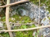 bunker2202